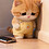 sHEN_fD